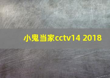 小鬼当家cctv14 2018